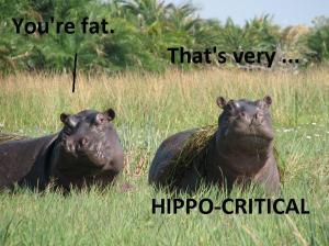 Hippo critical